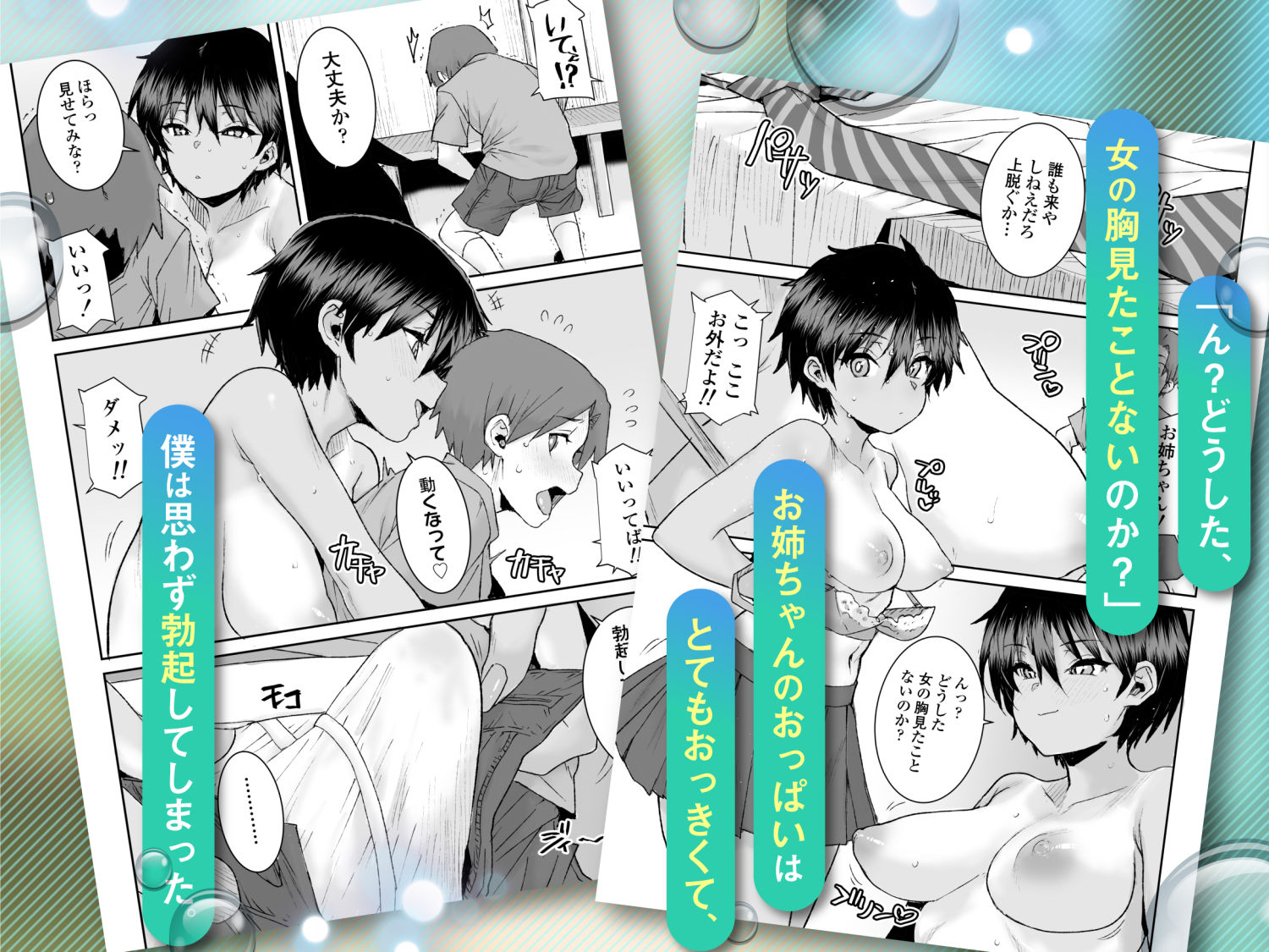 無口で気の強いボーイッシュなお姉ちゃんで僕は童貞を卒業しました 2枚目