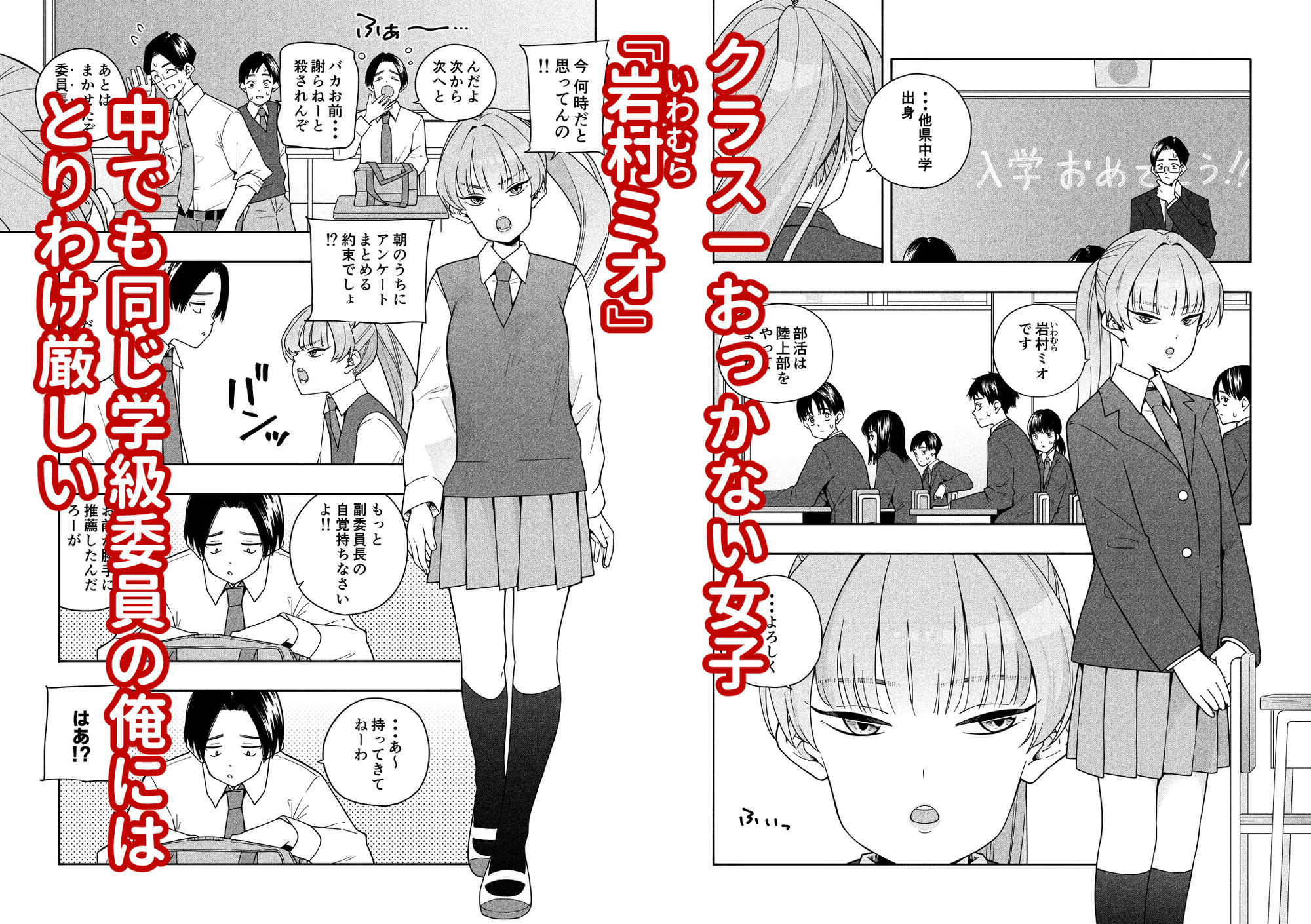 カムフラージュ 1枚目